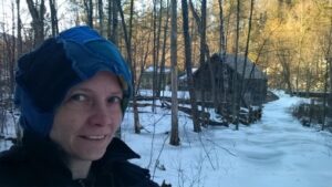 The woods behind our house in winter
