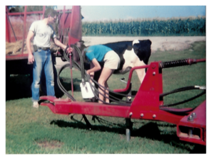 Jessica and her dad getting a calf ready for the county fair